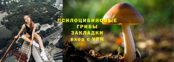 прущие крисы Абдулино